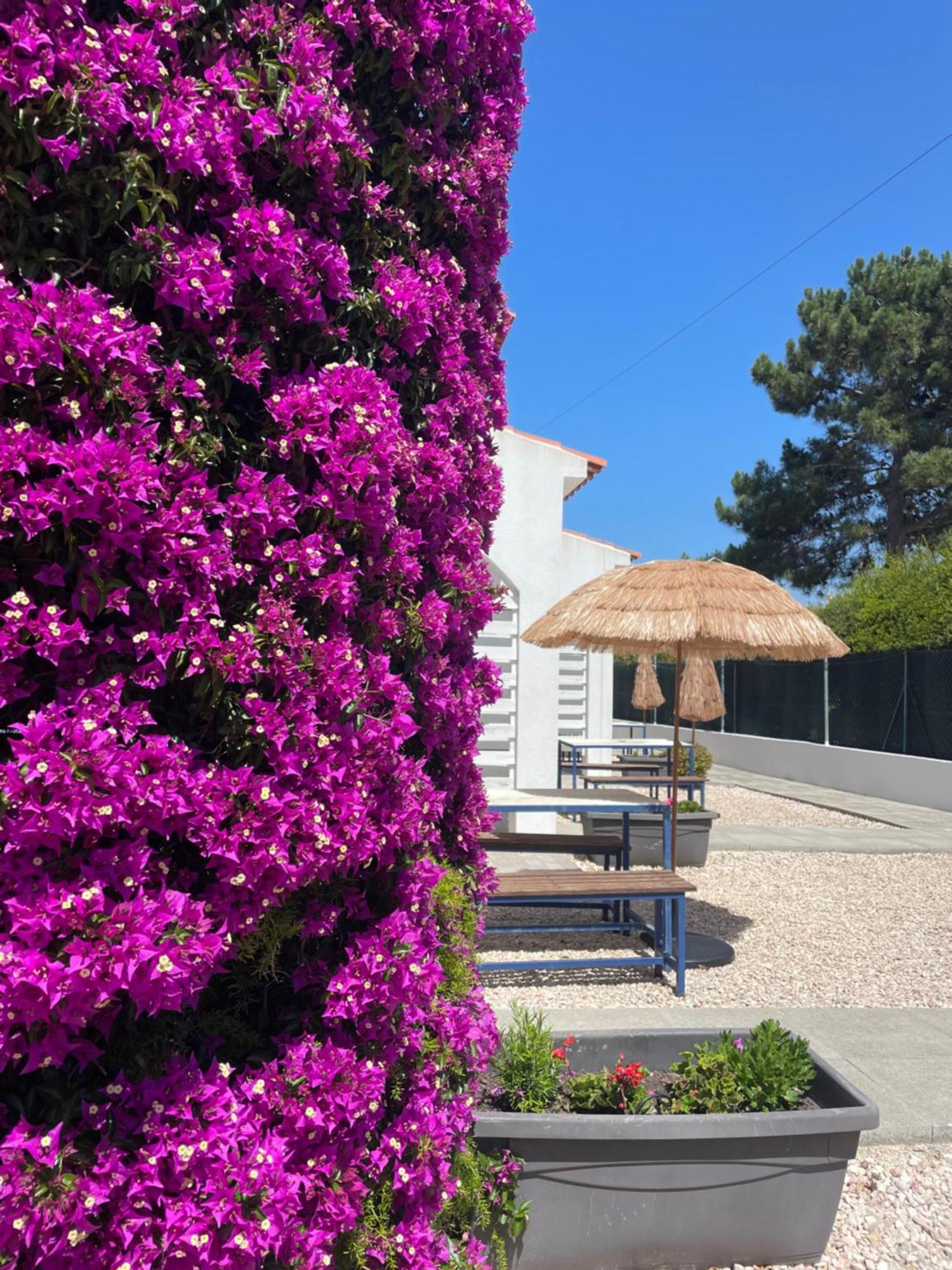 California Dream Inn Aljezur Esterno foto